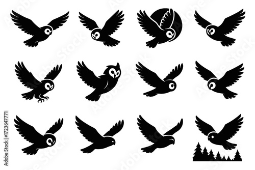 Pass vector owl rotation claws tip air icon flight motion