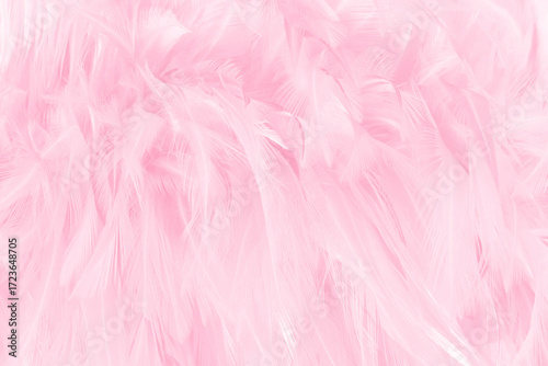 Soft pink color bird feather pattern texture for background and design.