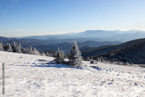 Winter Weather at Roan Mountain in the Blue Ridge Mountains on the Border of North Carolina and Tennessee