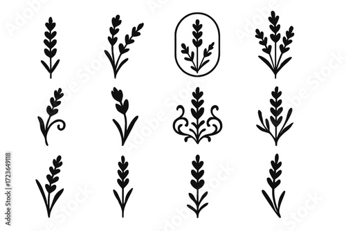 Ornamental filler botanical sprig vector detail stem embellishment lavender icon set
