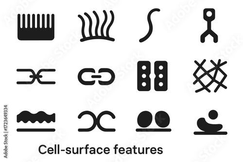 Contact shape vector set dots glycocalyx cell outline extracellular bridge icon matrix