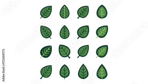 green leaf shape vector
