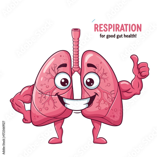 Healthy lungs cartoon character promoting respiration for good gut health, vibrant medical illustration for educational health and wellness, positive lifestyle