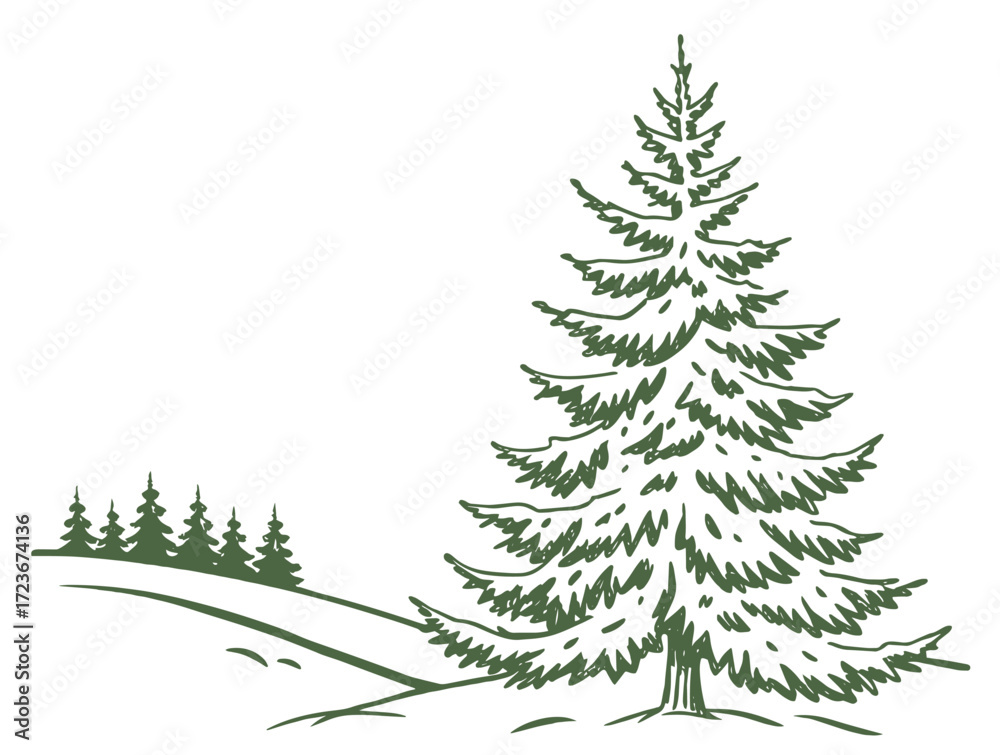 Fototapeta premium Forest fir tree in the snow. Simple sketch of a snow-covered forest fir tree. Vector graphics