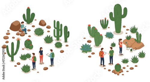 Isometric desert adventure with cacti and people exploring nature