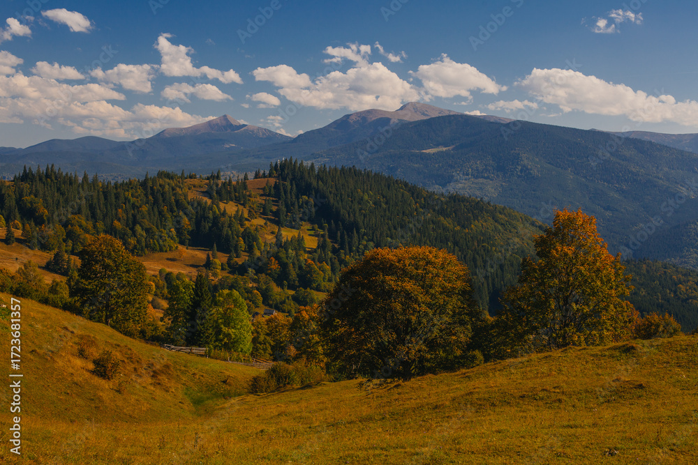 Obraz premium Beautiful early autumn in Carpathian mountains, Ukraine