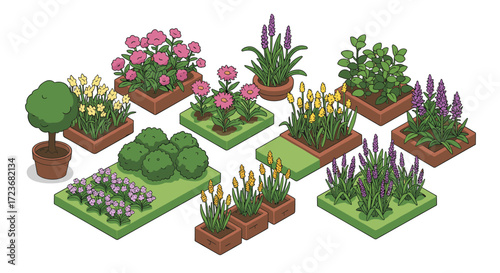 Vibrant garden set with various flowers and potted plants in isometric style
