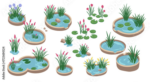 Isometric garden ponds with aquatic plants and rocks in various shapes