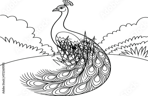 A black and white line drawing of a peacock with its tail feathers spread out, set against a simple landscape background.