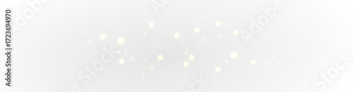 Dust Vector Powder Light Bokeh Sparkle Stardust Flare Shine Burst PNG
