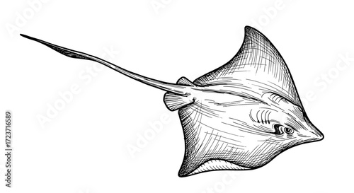 Elegant stingray gracefully swims through a monochrome sea sketch.