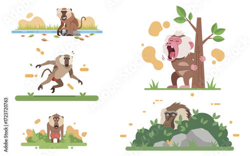 Four Baboon Illustrations Sitting Running Yawning Hiding.