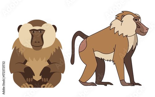 Two Cartoon Baboon Illustrations in Profile View.