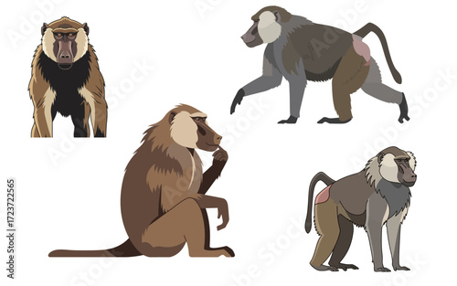 Cartoon Baboon Group Standing Walking Sitting and Facing Front.