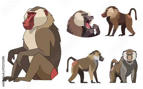 Diverse Poses of Hamadryas Baboons Stylized Illustrations.