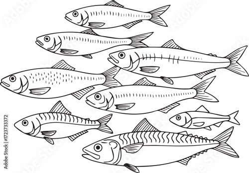 sea fish, sprat, herring, mackerel, little fish doodle hand drawn icon. Outline drawing sea fish, herring, mackerel, little fish line clipart symbol.