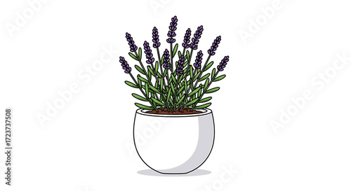 Potted lavender illustration brings freshness and tranquility to designs