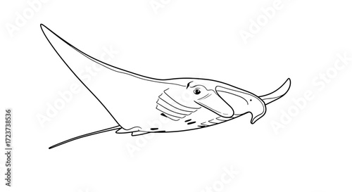 Manta ray gliding smoothly through the ocean waters, a coloring page