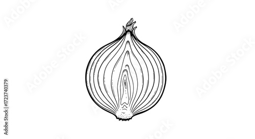 Half Onion Sketch Against White Background, Culinary Ingredient Illustration