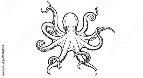 Detailed line art octopus illustration against a bright white background