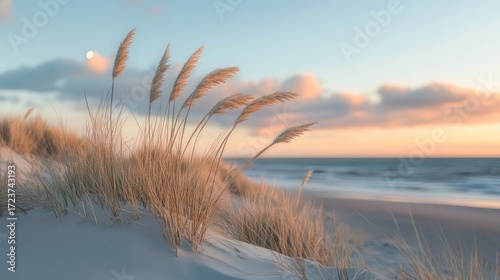 Golden hour sunset casts a warm glow on sand dunes and tall beach grass swaying gently in the breeze by the tranquil ocean