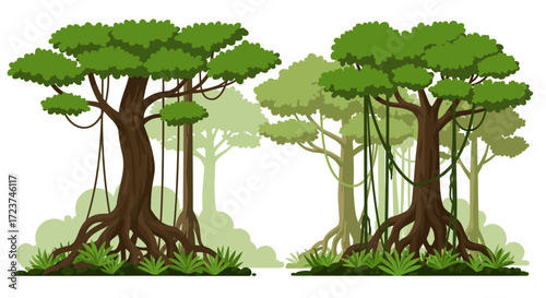 Lush Tropical Forest Scene with Trees and Vines.