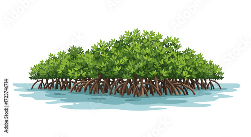 Vibrant Mangrove Trees with Aerial Roots in Shallow Water.