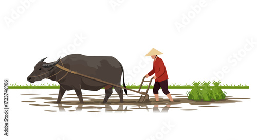 Farmer Plowing Field with Water Buffalo in Traditional Asian Agriculture.