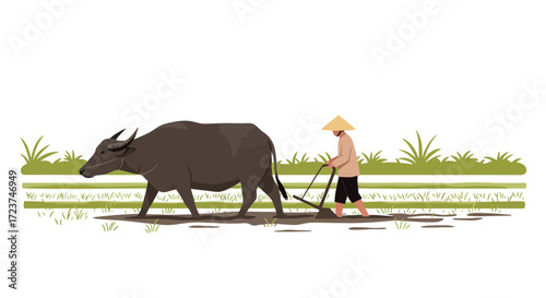 Farmer Plowing Field with Water Buffalo in Traditional Style.