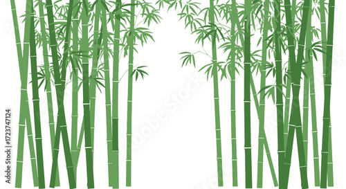 Green Bamboo Stalks and Leaves Illustration.