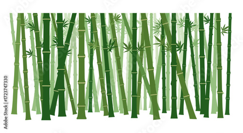 Dense Bamboo Forest Illustration with Green Stalks and Leaves.