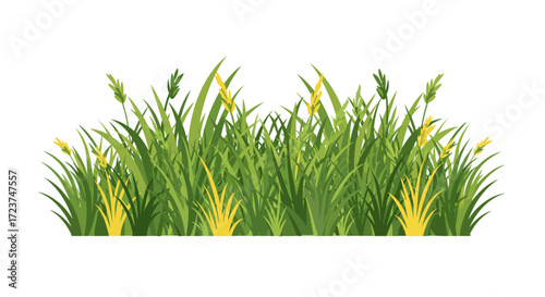 Lush Green Grass Patch with Yellow Seed Heads Illustration.
