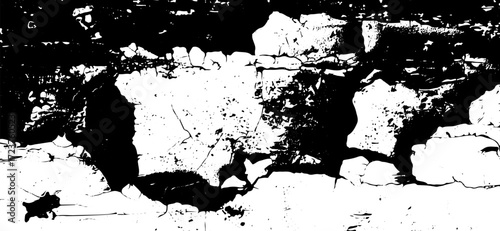 This striking monochrome image features a composition of bold black shapes contrasted against a stark white background, creating an abstract and textured pattern with a graphic design feel