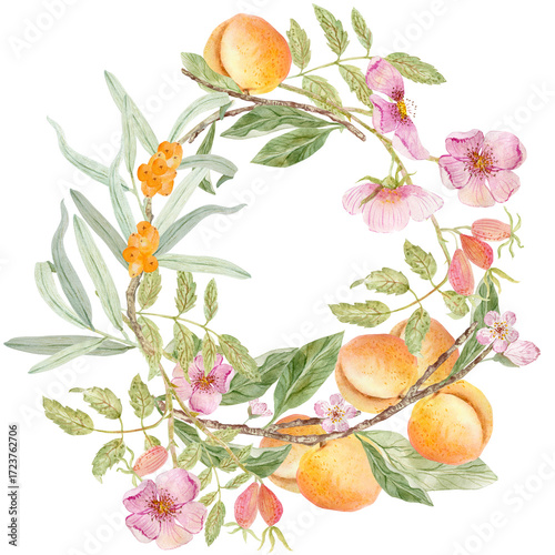A branch of peach with fruit, sea buckthorn, rose hips in a wreath on a white background.