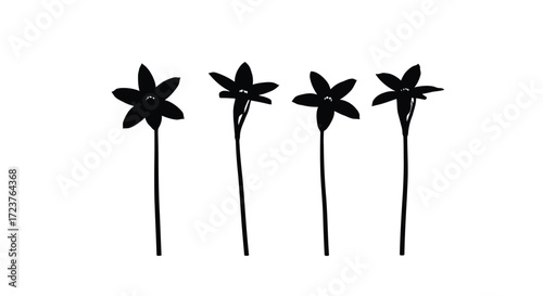 Four delicate starburst flowers on thin stems organic nature design elements vector