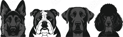 Diverse Dog Breed Headshots