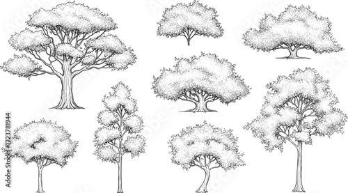 Stylish black and white forest border featuring an array of diverse trees with intricate foliage, creating a timeless natural landscape design element