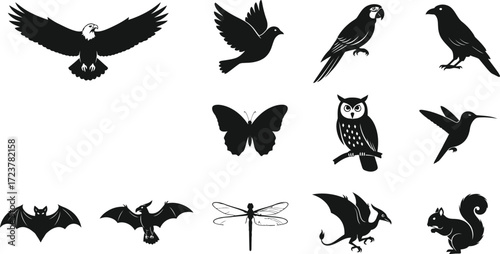 Flying Creatures and Small Animal Silhouettes