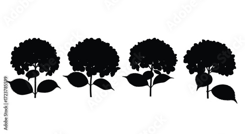 Four silhouette hydrangea flowers with stems and leaves graphic elements vector