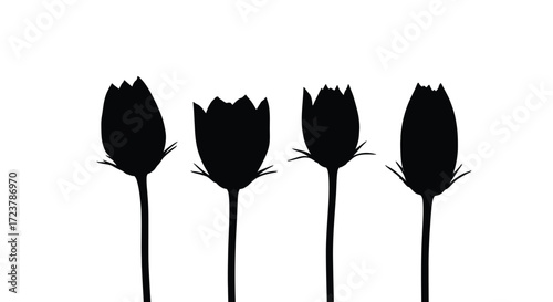 Four black silhouette seed pods with delicate petal edges on vector