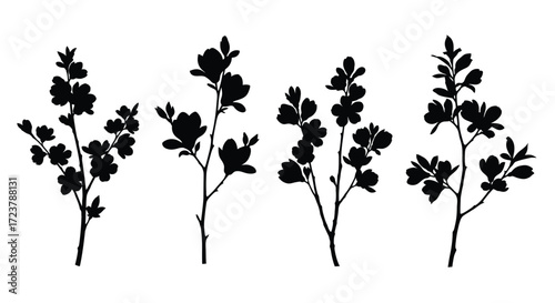 Silhouettes of delicate blossom branches with petals and leaves isolated on white vector