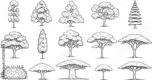 A comprehensive set of detailed hand-drawn tree illustrations, showcasing diverse arboreal forms and leafy canopies, perfect for design resources, educational graphics, and nature-themed projects
