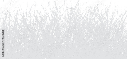 Delicate gray branches form a textured backdrop against a pristine white background, creating a light, ethereal effect perfect for overlays or subtle design accents