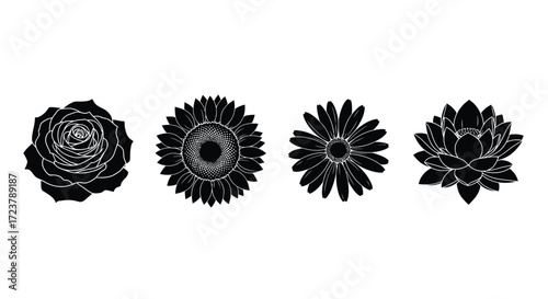Four detailed black silhouette floral designs diverse botanical blooms for decorative use vector