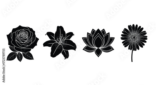 Set of four distinct floral silhouettes including rose lily lotus and dandelion in black vector