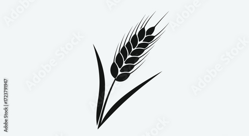 Wheat Ear Silhouette Icon