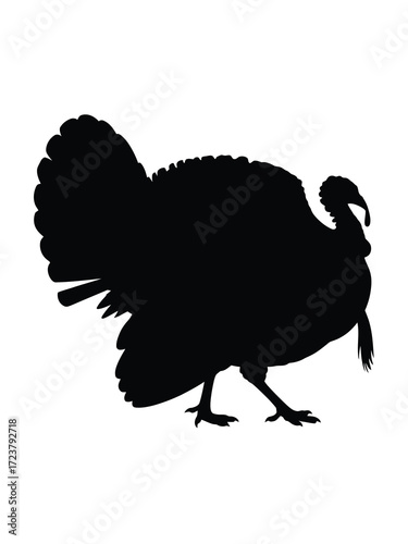 Black silhouette of a turkey bird on a white background
