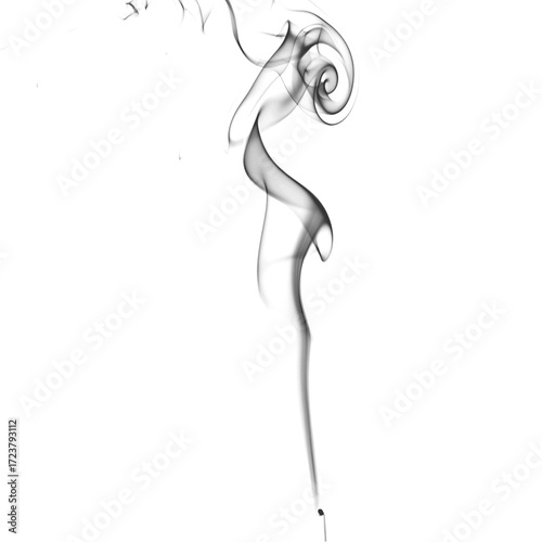 Flowing Curly Smoke Isolated on Transparent Background – Soft White Misty Swirls and Twists for Photoshop Overlays, Abstract Textures, and Creative Visuals