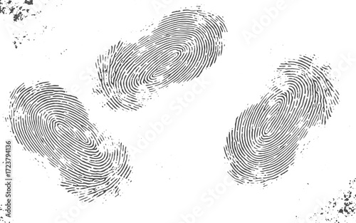 hand drawn ink brush strokes