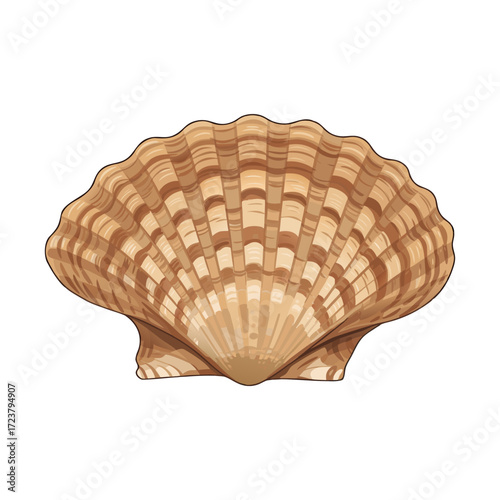 Bivalve shell in natural color with patterned texture, transparent background, isolated, vector 